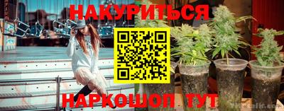 крисы Пыть-Ях