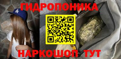 крисы Пыть-Ях