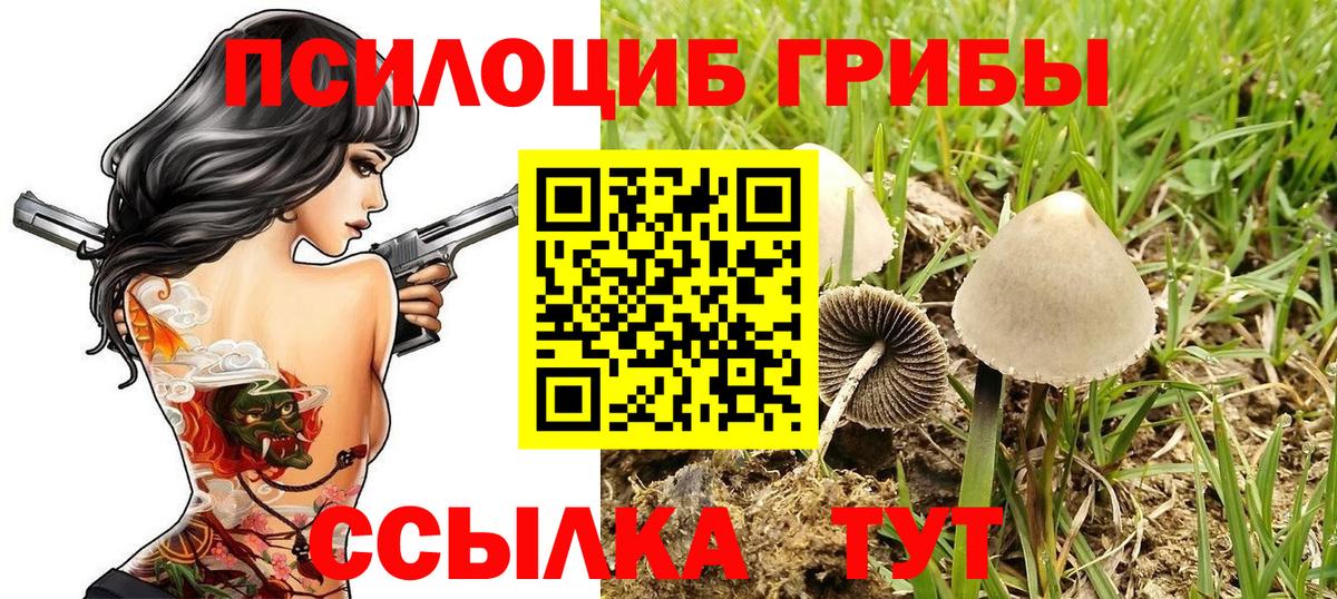 Галлюциногенные грибы мухоморы  Псилоцибиновые грибы Psilocybine cubensis  Вход с VPN  Холмск 